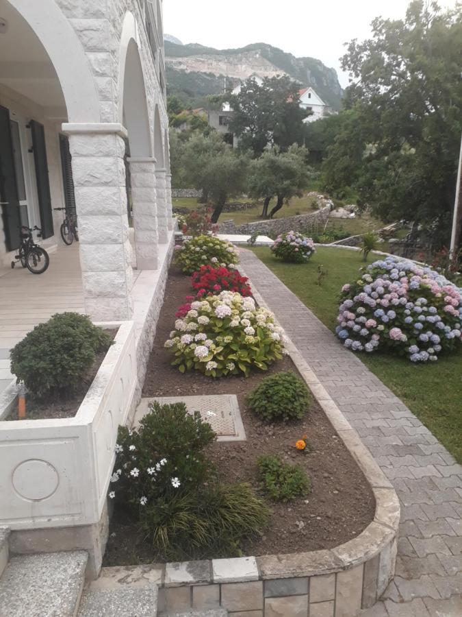Apartmani Andrea Herceg Novi Zewnętrze zdjęcie